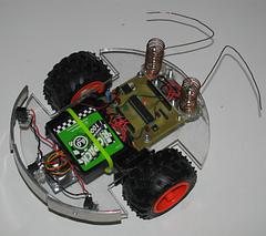 Bug Bot image 7_24.jpg