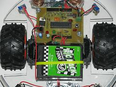 Bug Bot image 7_17.jpg